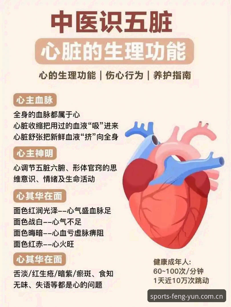 风云体育数据平台 5大核心功能解析:风云体育数据平台如何重塑赛事分析决策链